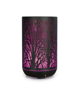 Diffuseur H.E. Forest