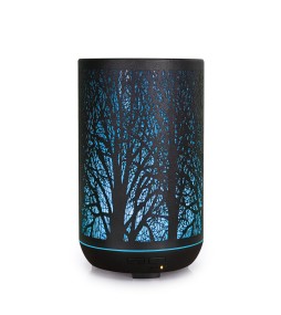 Diffuseur H.E. Forest