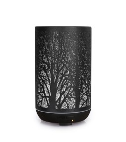 Diffuseur H.E. Forest