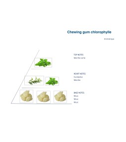 CHEWING GUM CHLOROPHYLL