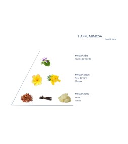 Tiaré Mimosa