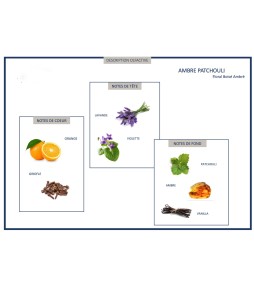 Carrés fondants Ambre Patchouli