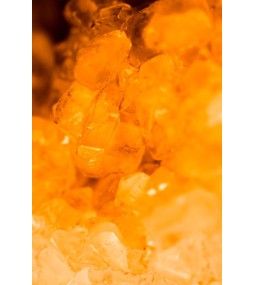 Carrés fondants Ambre Patchouli