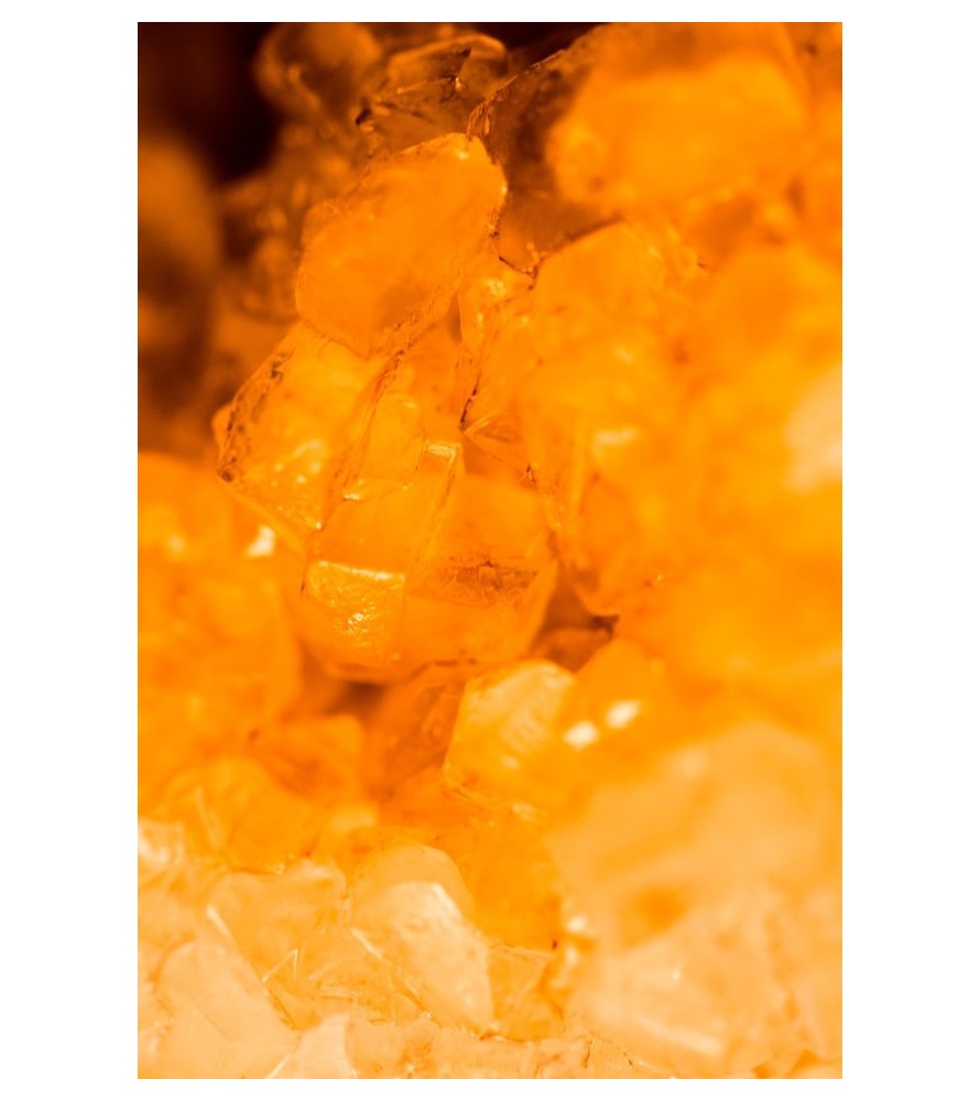Carrés fondants Ambre Patchouli