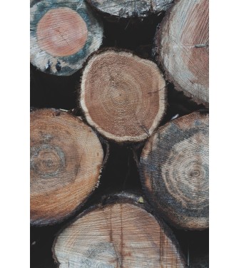 Carrés fondants Bois de Teck