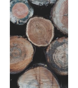 Carrés fondants Bois de Teck