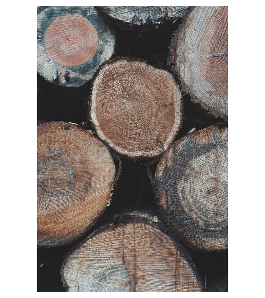 Carrés fondants Bois de Teck
