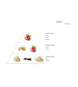 Carrés fondants Fraises Fraiches