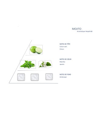 Carrés fondants Mojito