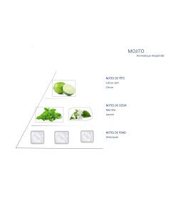 Carrés fondants Mojito