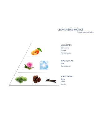 Carrés fondants Clémentine Monoï