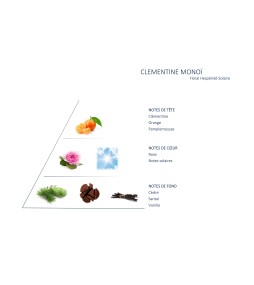 Carrés fondants Clémentine Monoï