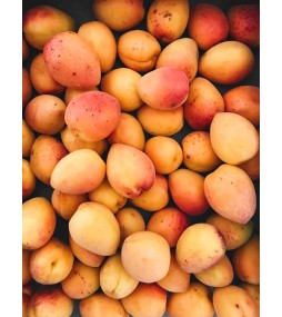 Carrés fondants Nectar d'abricot