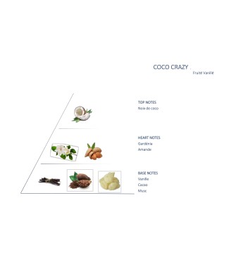Carrés fondants Coco crazy