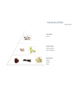 Carrés fondants Fleur de coton