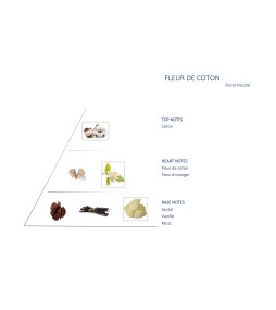 Carrés fondants Fleur de coton
