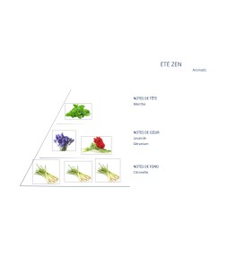 Carrés fondants Eté Zen