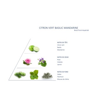 Bougie Citron vert basilic mandarine petit pot