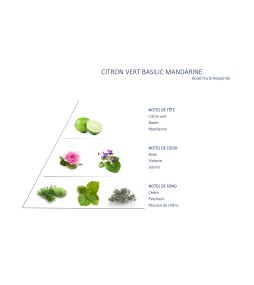 Bougie Citron vert basilic mandarine petit pot