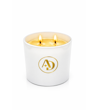 Bougie végétale 440gr Blanc brillant boite cloche
