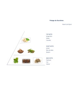 Bougie Potage de sorcière